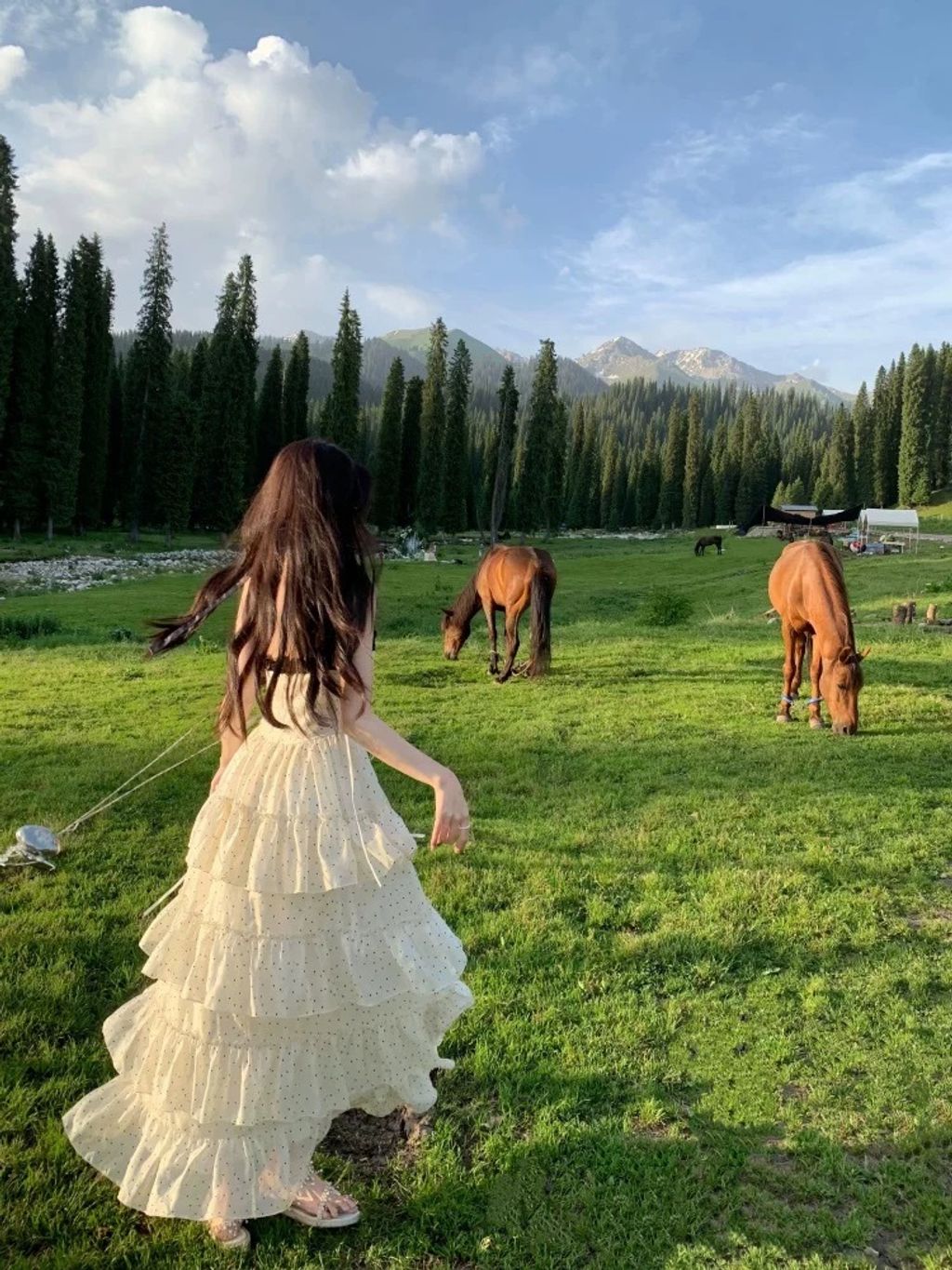 image_A5B1B054-0F96-4610-8AD1-CF9485BA6D67_1772616378