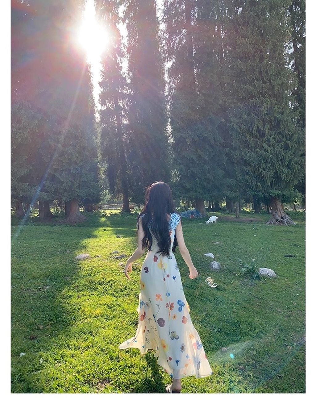 image_238826E2-23FE-474C-8F70-C15DEFECB166_1772671731