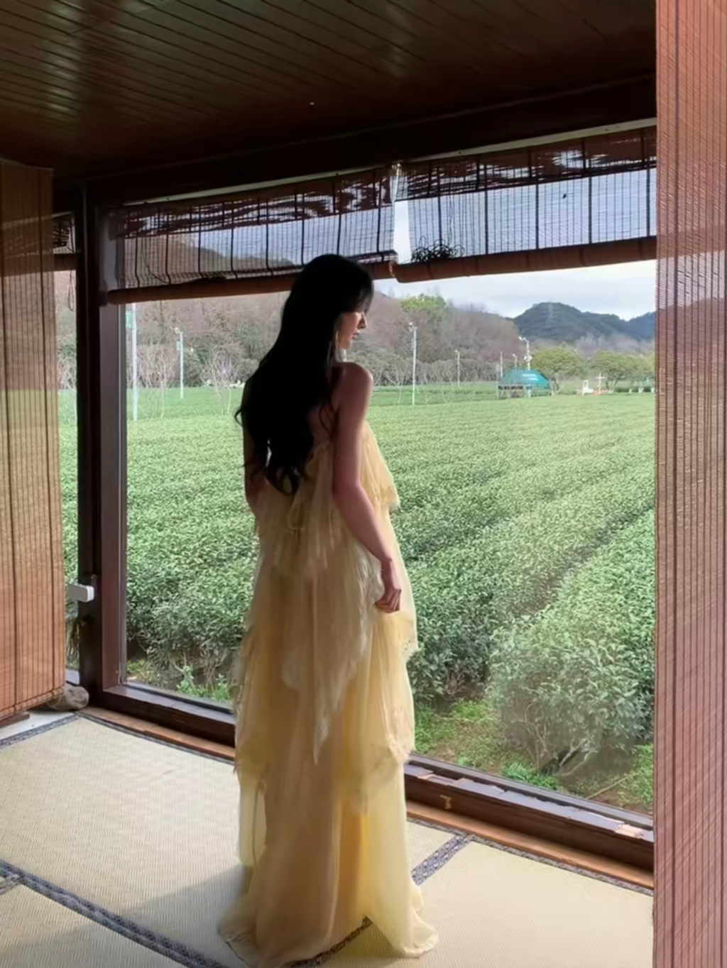 tb_image_share_1773047127602_edit_334771543579531