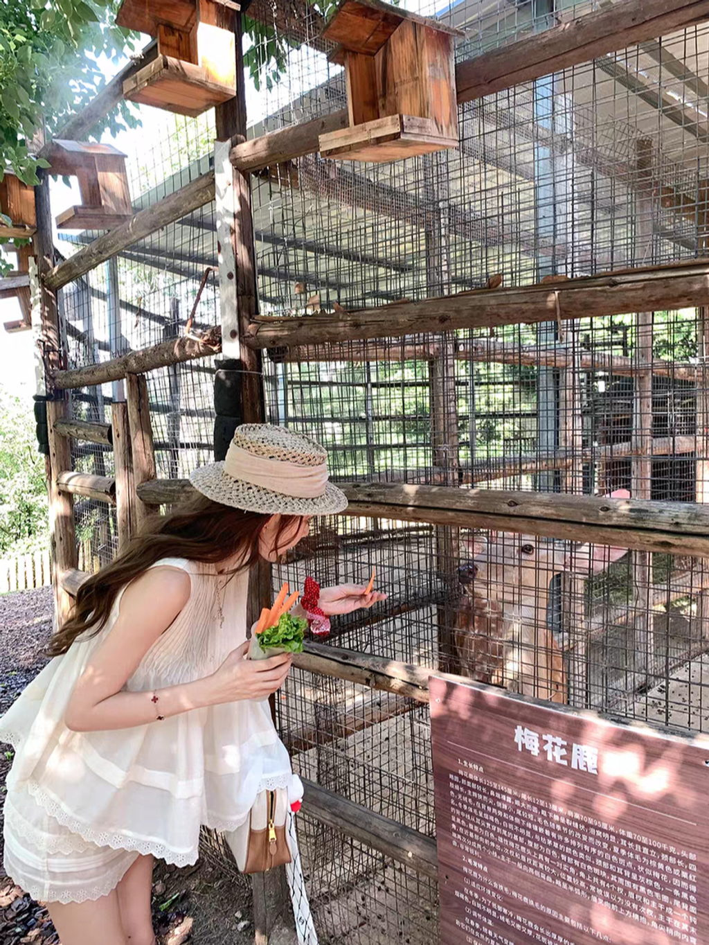 tb_image_share_1753011845688.jpg_edit_253011758759678