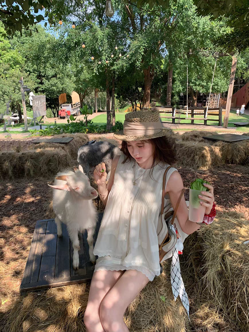 tb_image_share_1753011809486.jpg_edit_253078718795955