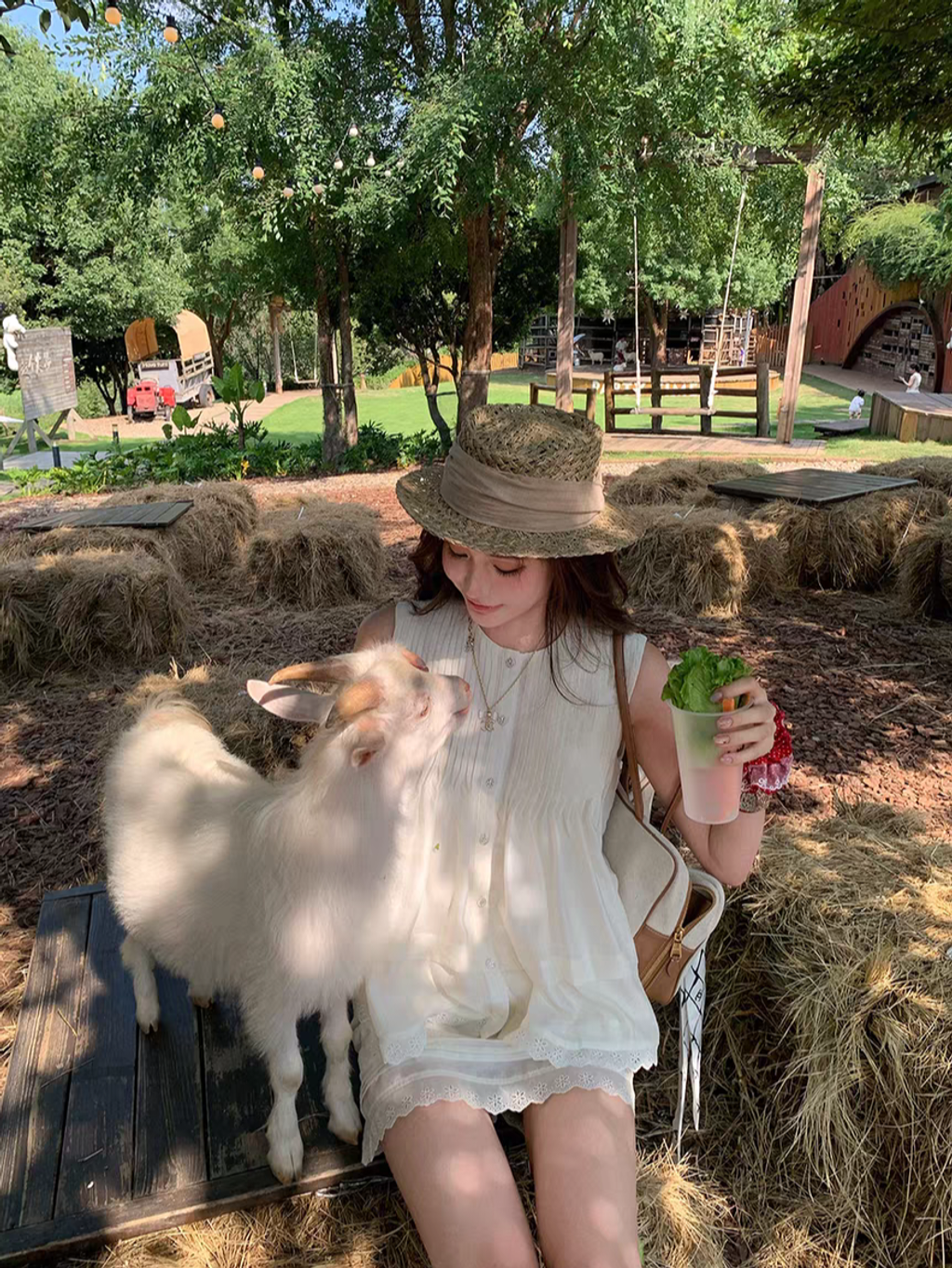 tb_image_share_1753011805216.jpg_edit_253085667547879