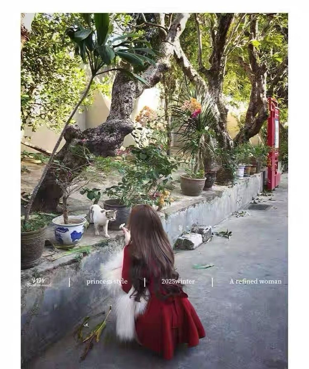 image_CEFE7AF1-EF38-4CCE-8B1D-7BF4C976DE7D_1766060656