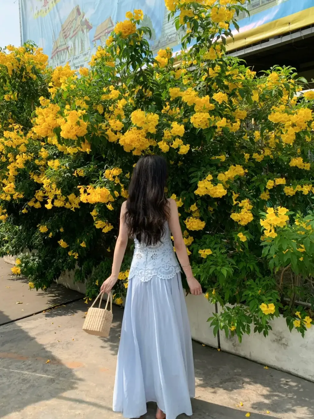 mmexport1768724875874