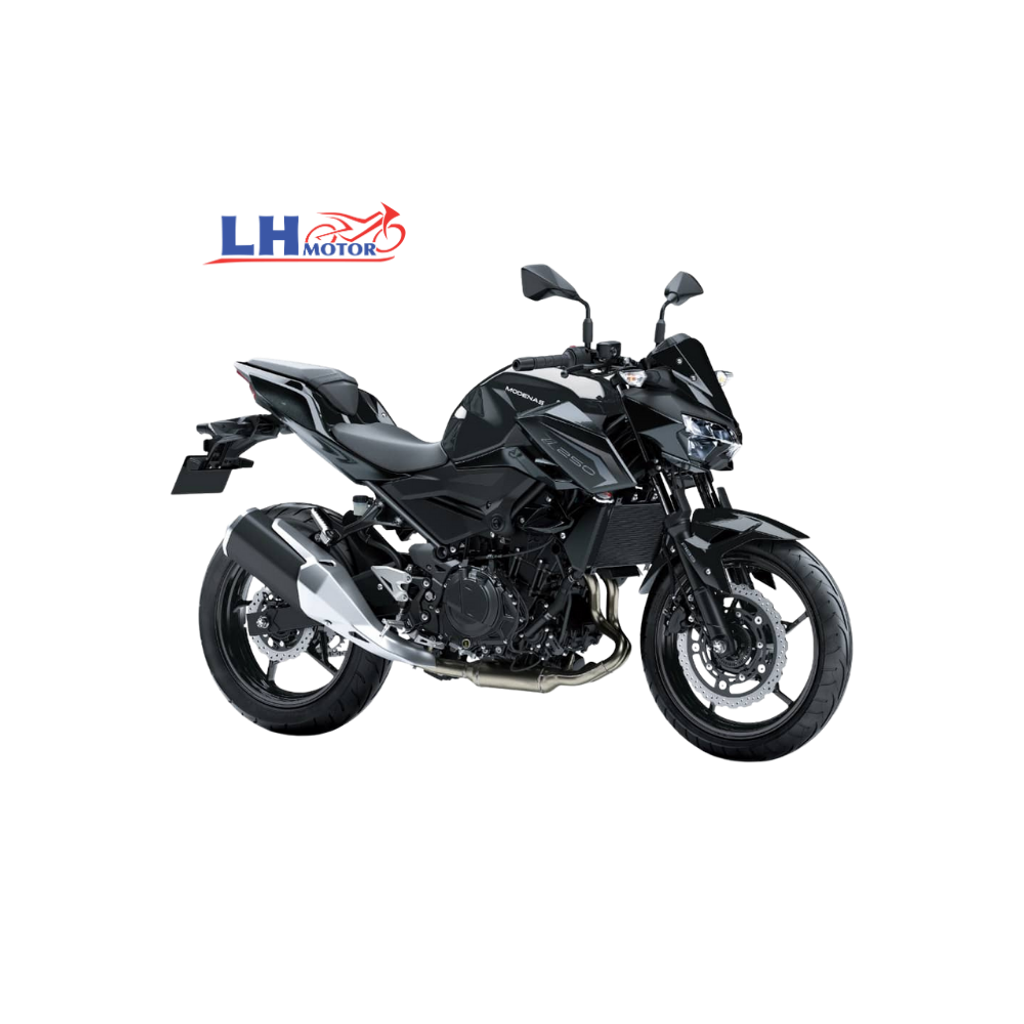 Z250 (1)