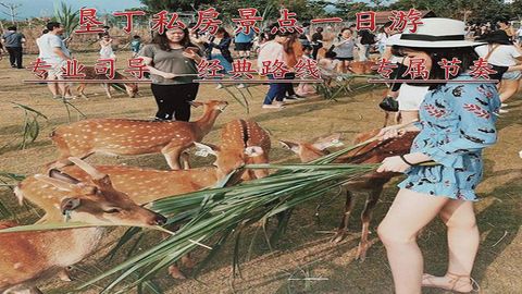 新建 Microsoft Office PowerPoint 2007 幻灯片 (4).jpg