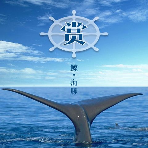 鲸豚.jpg