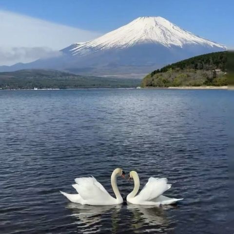 微信圖片_20251112161920_295_4_副本