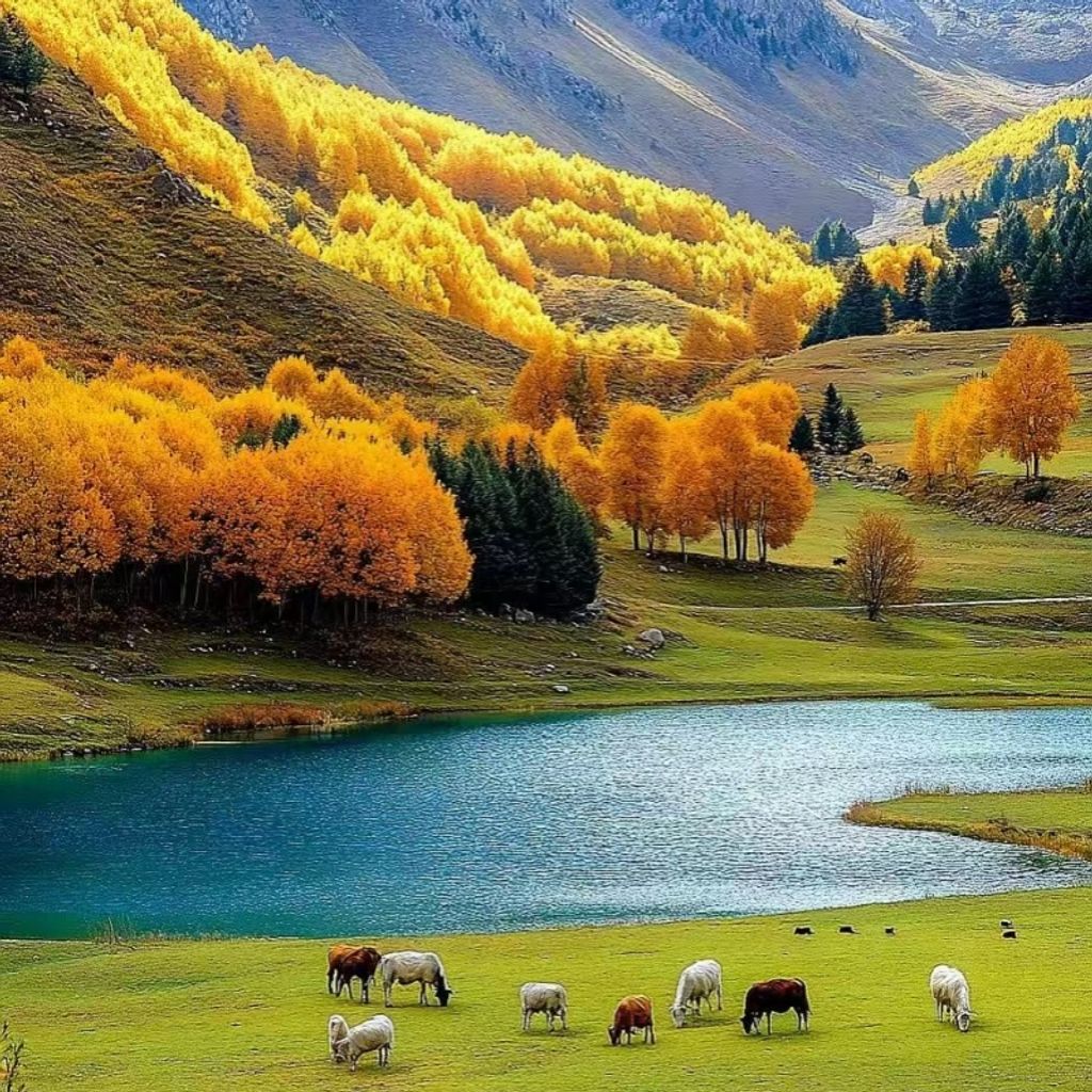 微信圖片_20251120150823_350_4