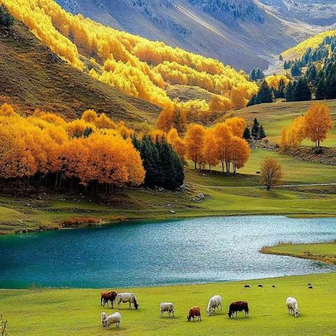 微信圖片_20251120150823_350_4