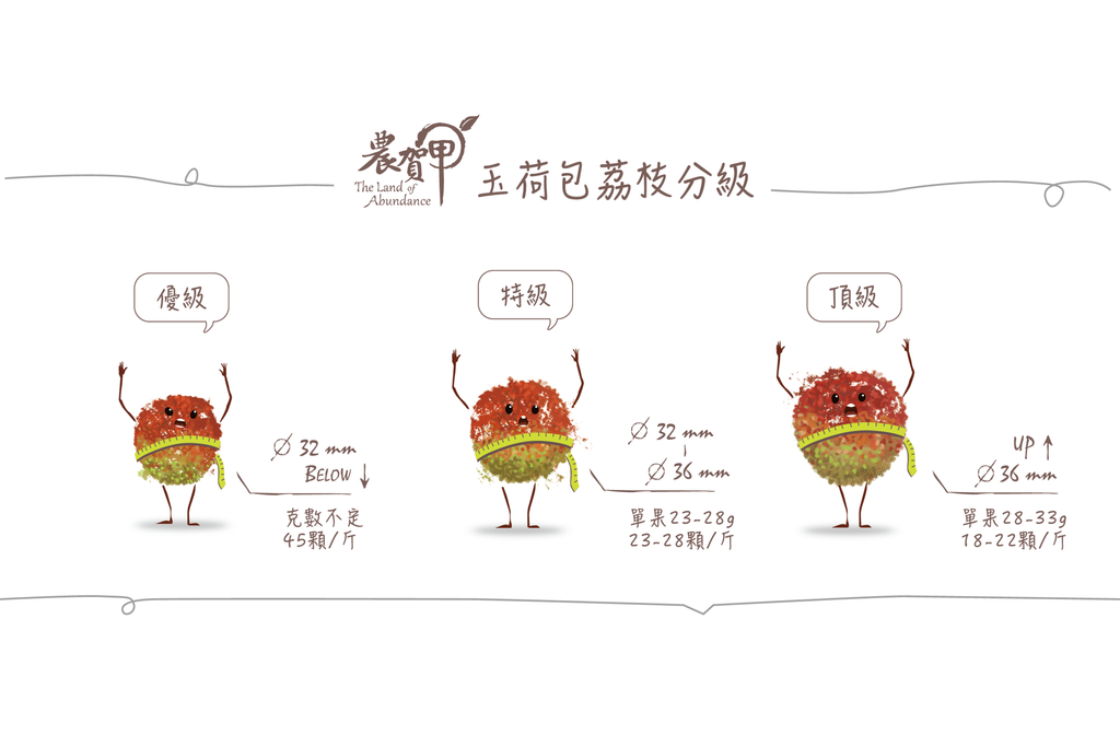 荔枝分級.png