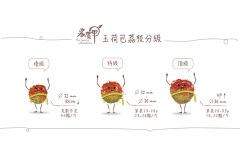 荔枝分級.png