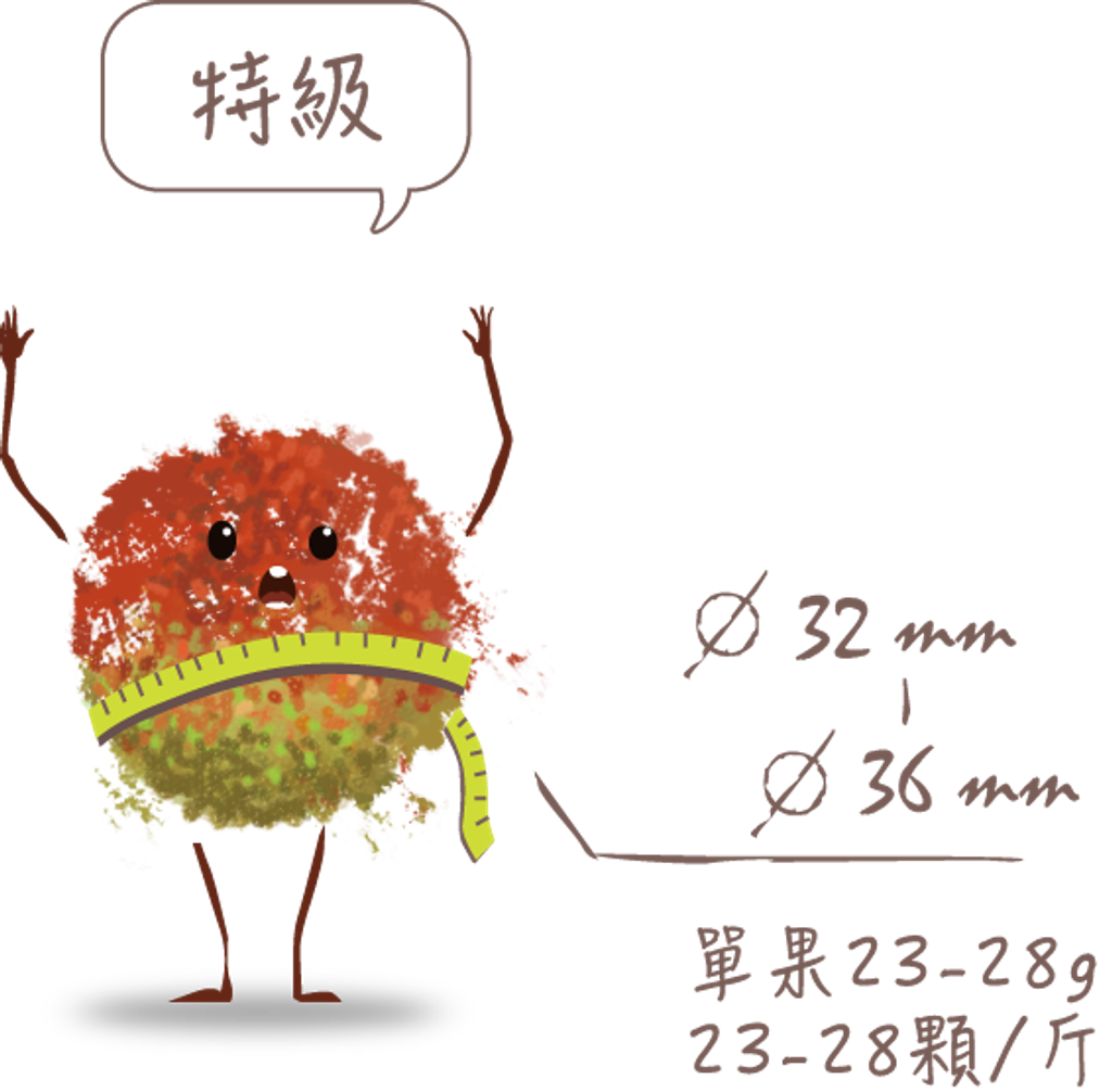 玉荷包分級小兵2.png