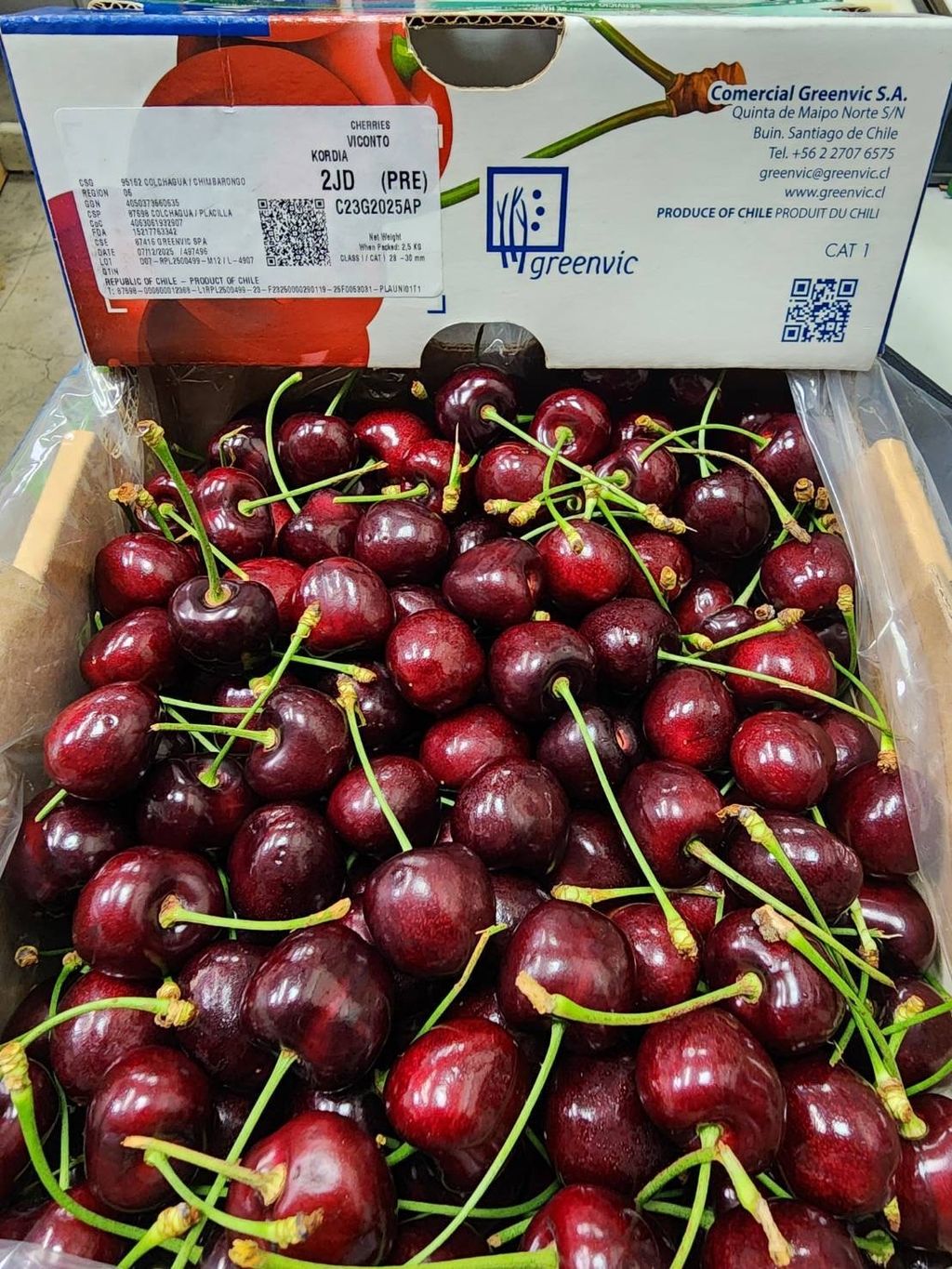 image_C88A5A35-179E-41FA-828E-9CE4613D1E6B_1766331747