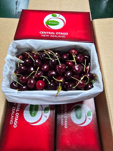 image_644D1B88-BCBE-407F-9618-3A484BAE0AAF_1769830089