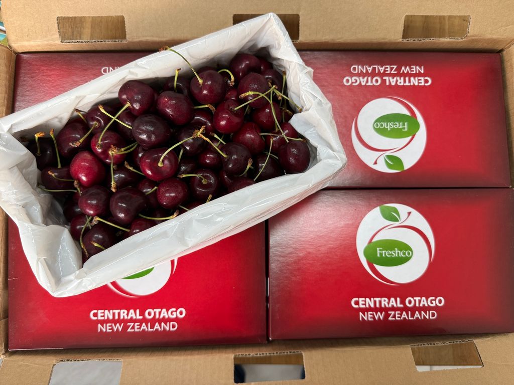 image_32616B31-CCF1-4421-8950-3A034A83F0B3_1769830089