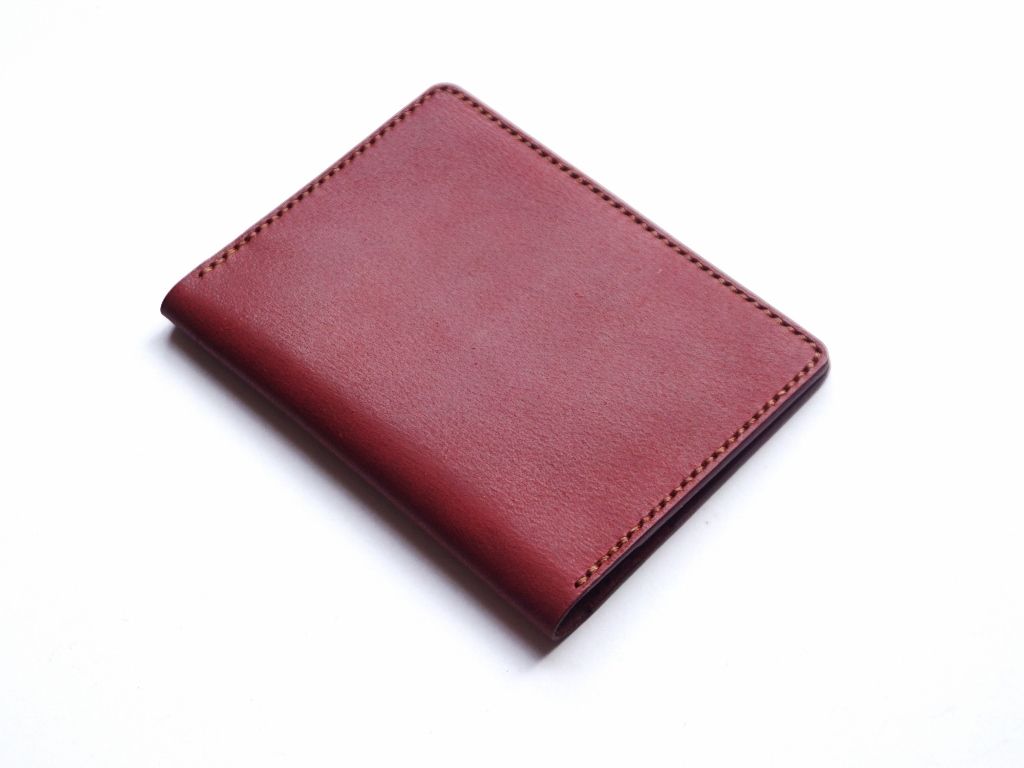 Passport Holder (10)