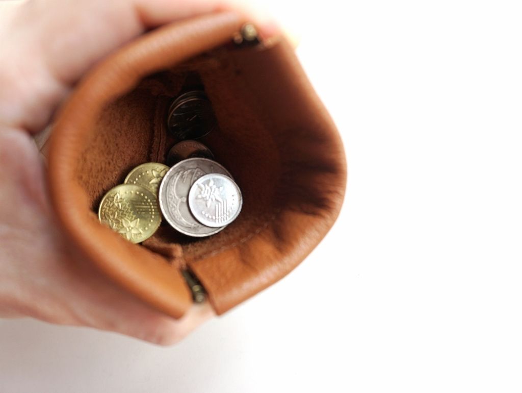 Coin Purse (1)