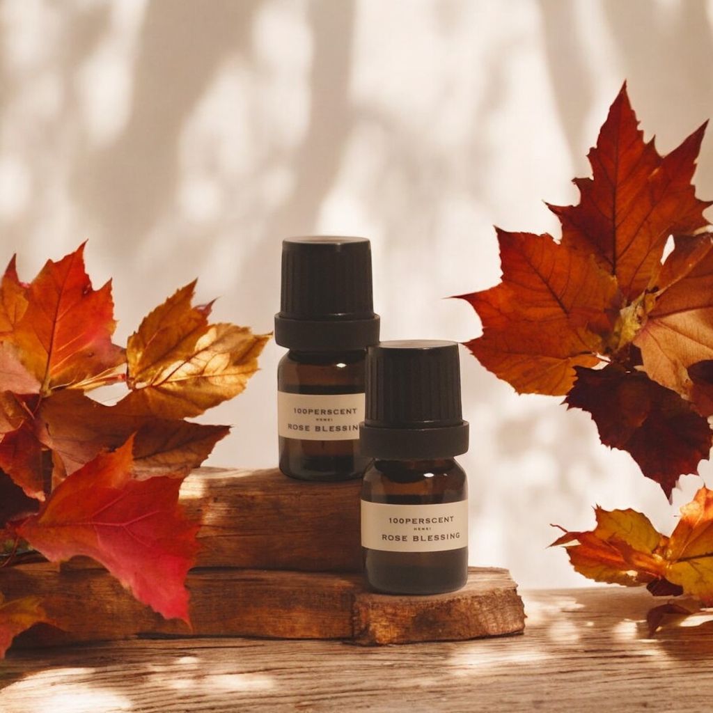 靜謐時光 森林精油擴香禮盒 / 含擴香石芳香液