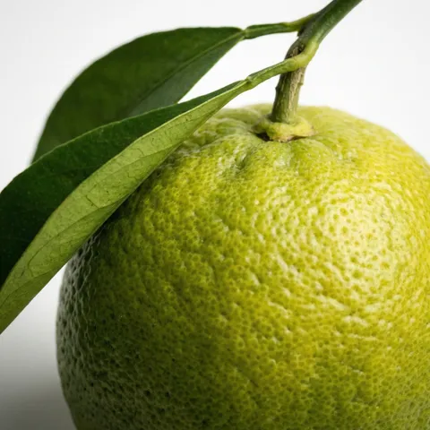 100perscent-hemei-botanical-citrus-green