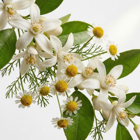 image_C2CDF18D-D742-4A59-BAD9-F1B8C59B0A26_1770398761