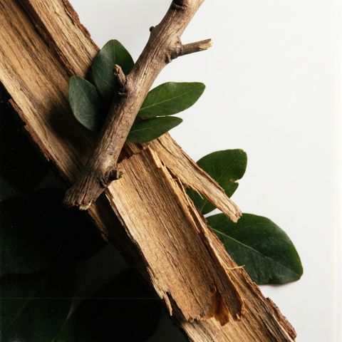 image_825AFA25-F848-494A-85CF-779324CA88DD_1770399947