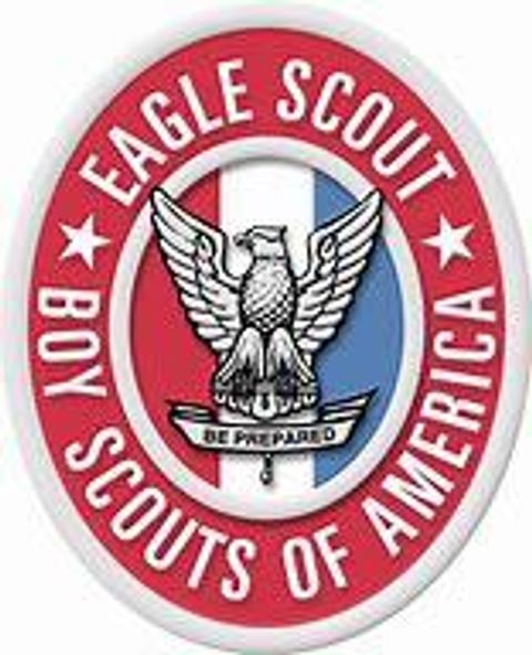 scout 14.jpg