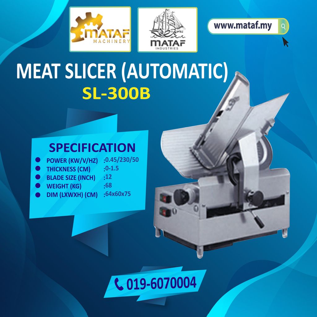 1-SL-300B.jpg