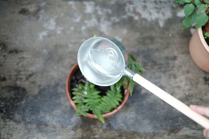 DSCF1214.JPG
