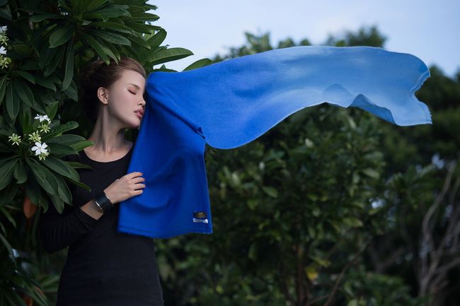 Zentopia LifeStyle |  - 暖身特價，每件折1111