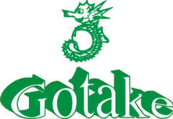 GOTAKE PAPER PACKAGING INDUSTRY