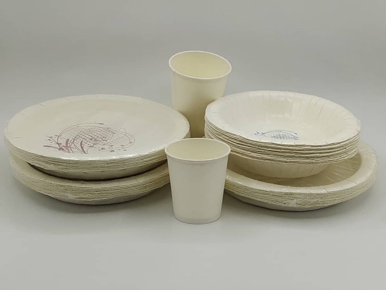 GOTAKE PAPER PACKAGING INDUSTRY | Paper Plate, Blow, Cup