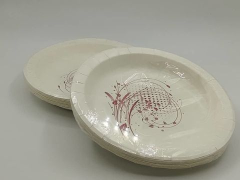 9 PAPER PLATE.jpg