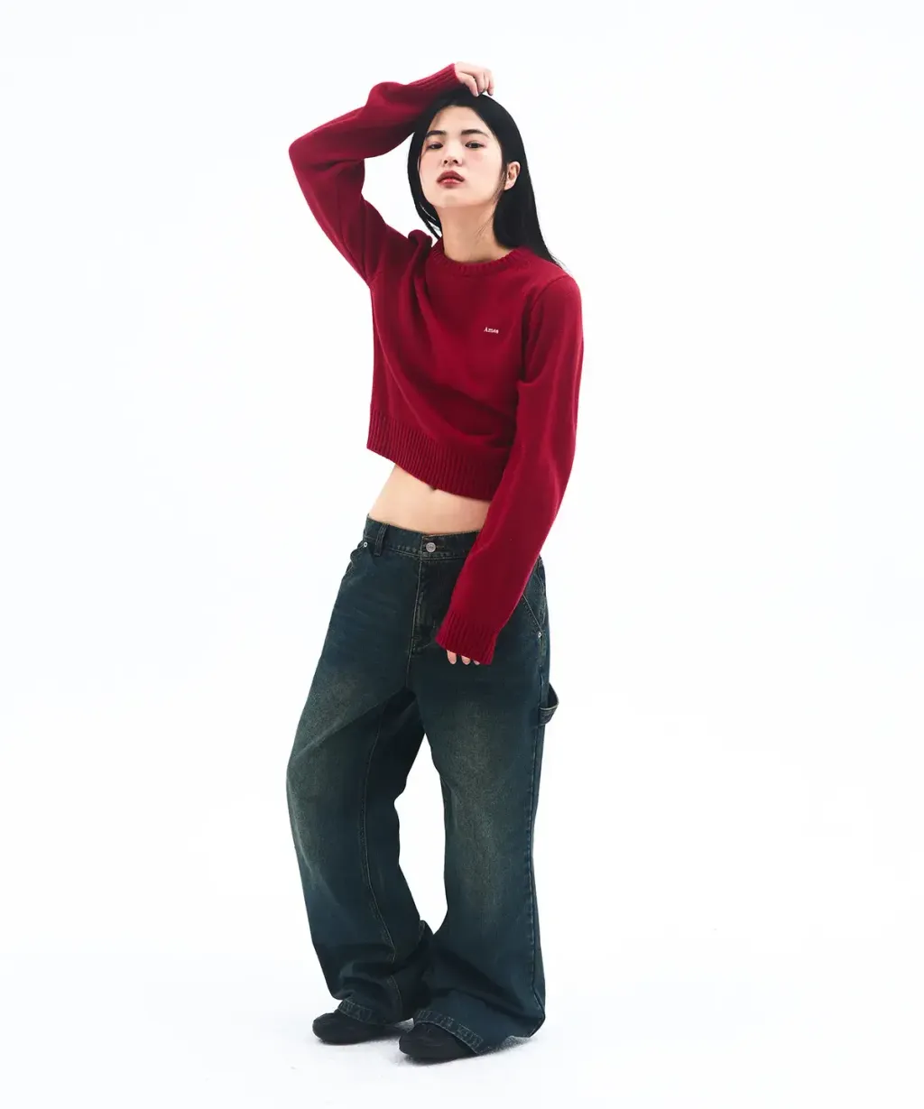 AMES BASIC SMALL LOGO KNIT RED （Ｃ）