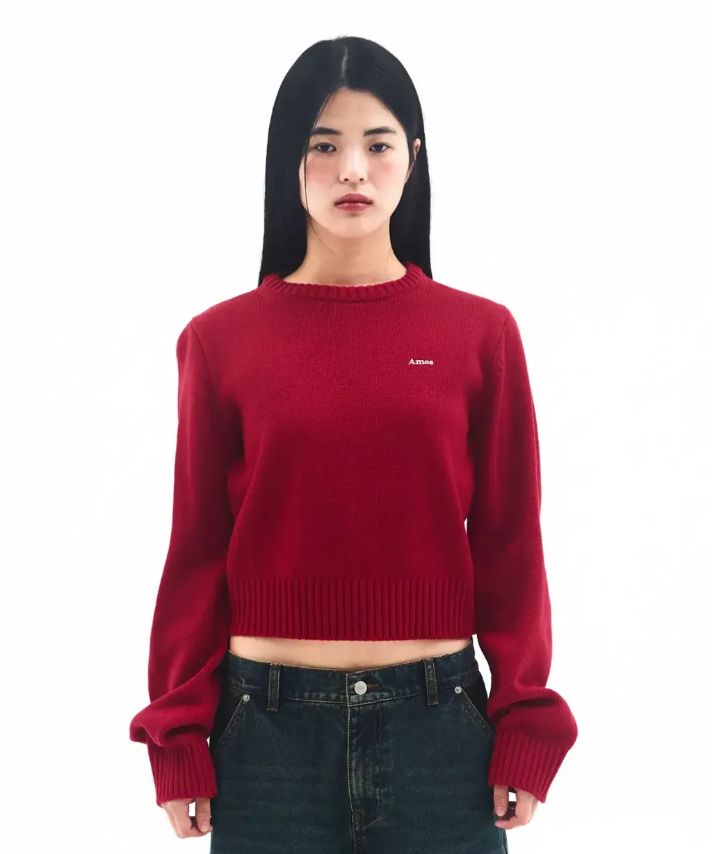 AMES BASIC SMALL LOGO KNIT RED （Ｃ）