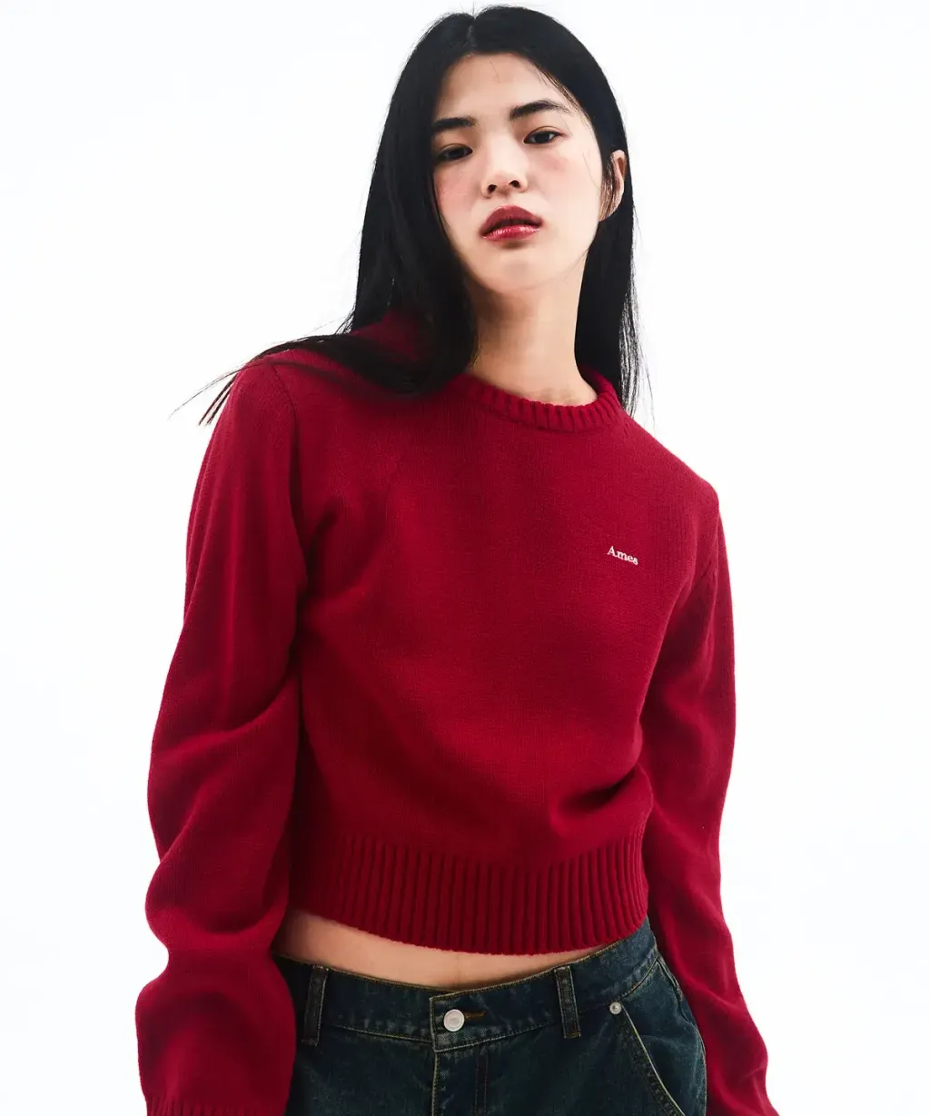 AMES BASIC SMALL LOGO KNIT RED（Ｃ）