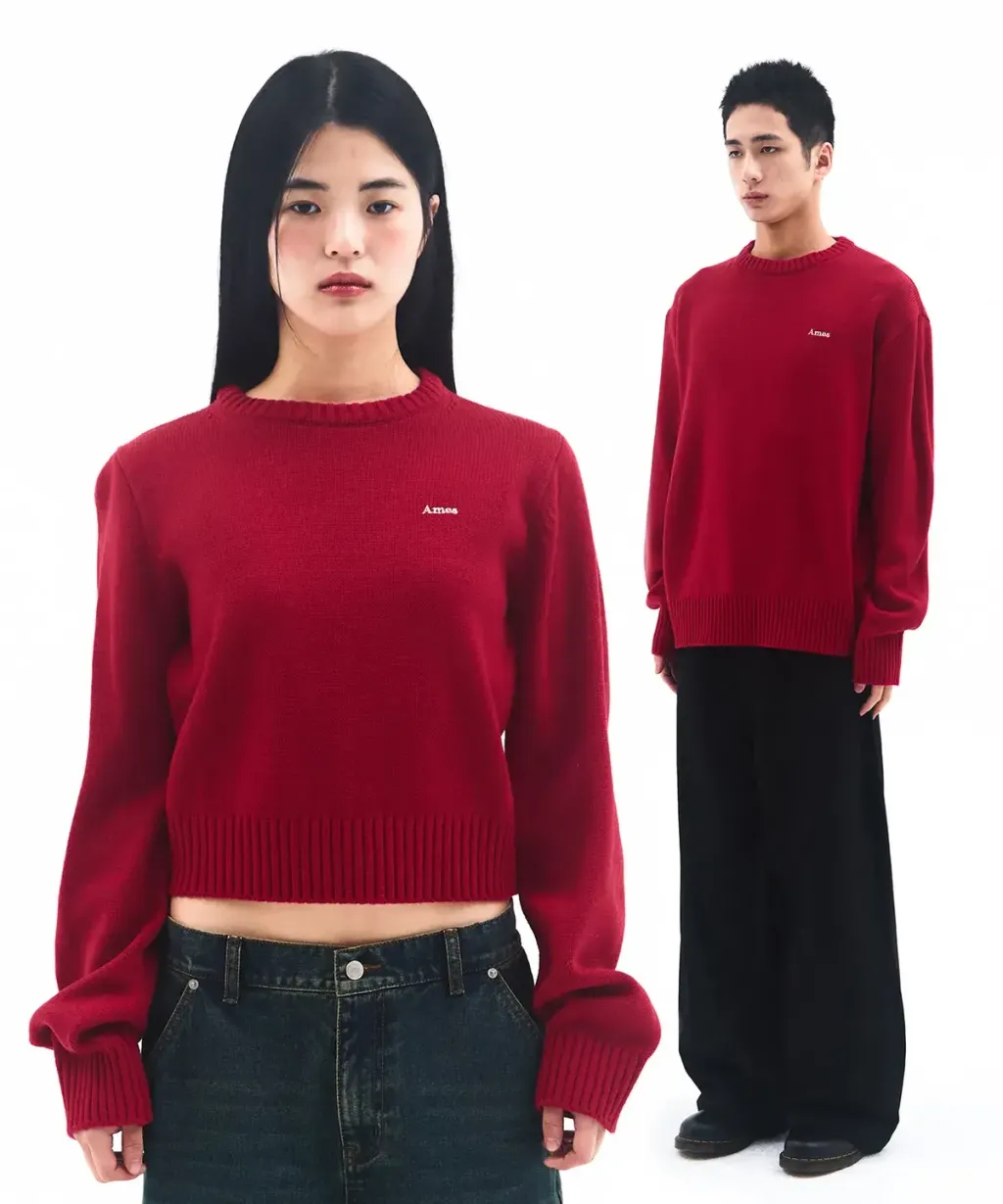 AMES BASIC SMALL LOGO KNIT RED