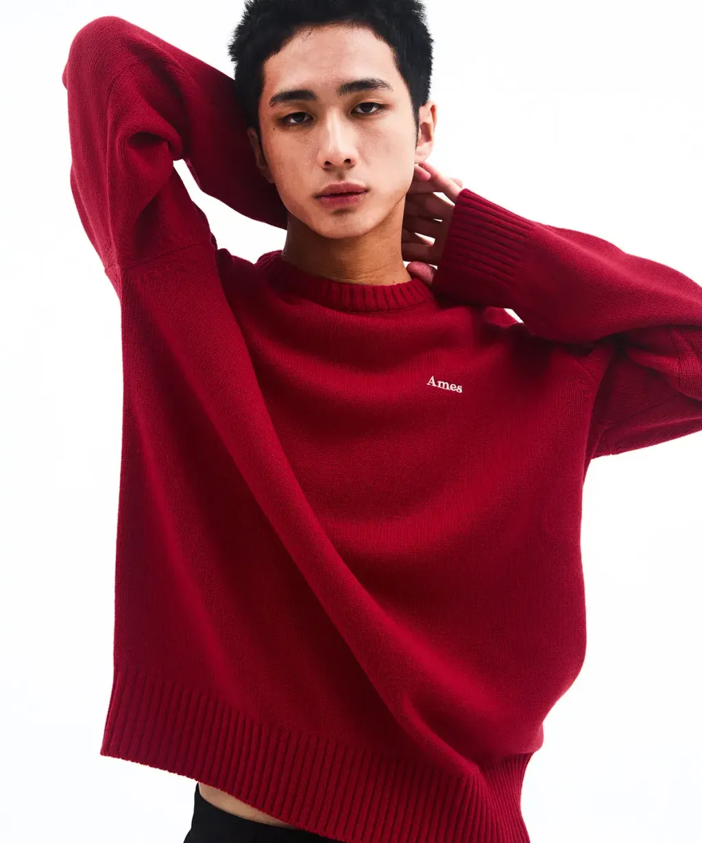 AMES BASIC SMALL LOGO KNIT RED （Ｍ／Ｌ）