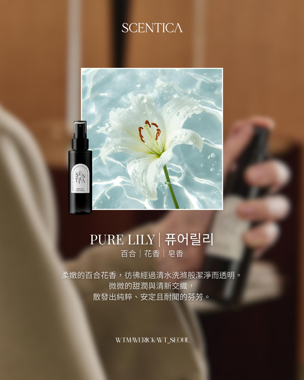 PURE LILY | 퓨어릴리