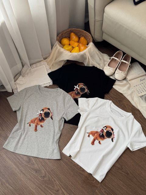 image_1992EA69-B373-4A54-AAB6-8D1B967C6823_1775910486