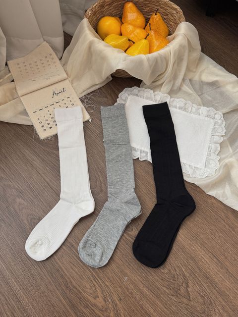 image_E50BEEB7-D427-4C21-B0DC-86F474CCD9E9_1775911020