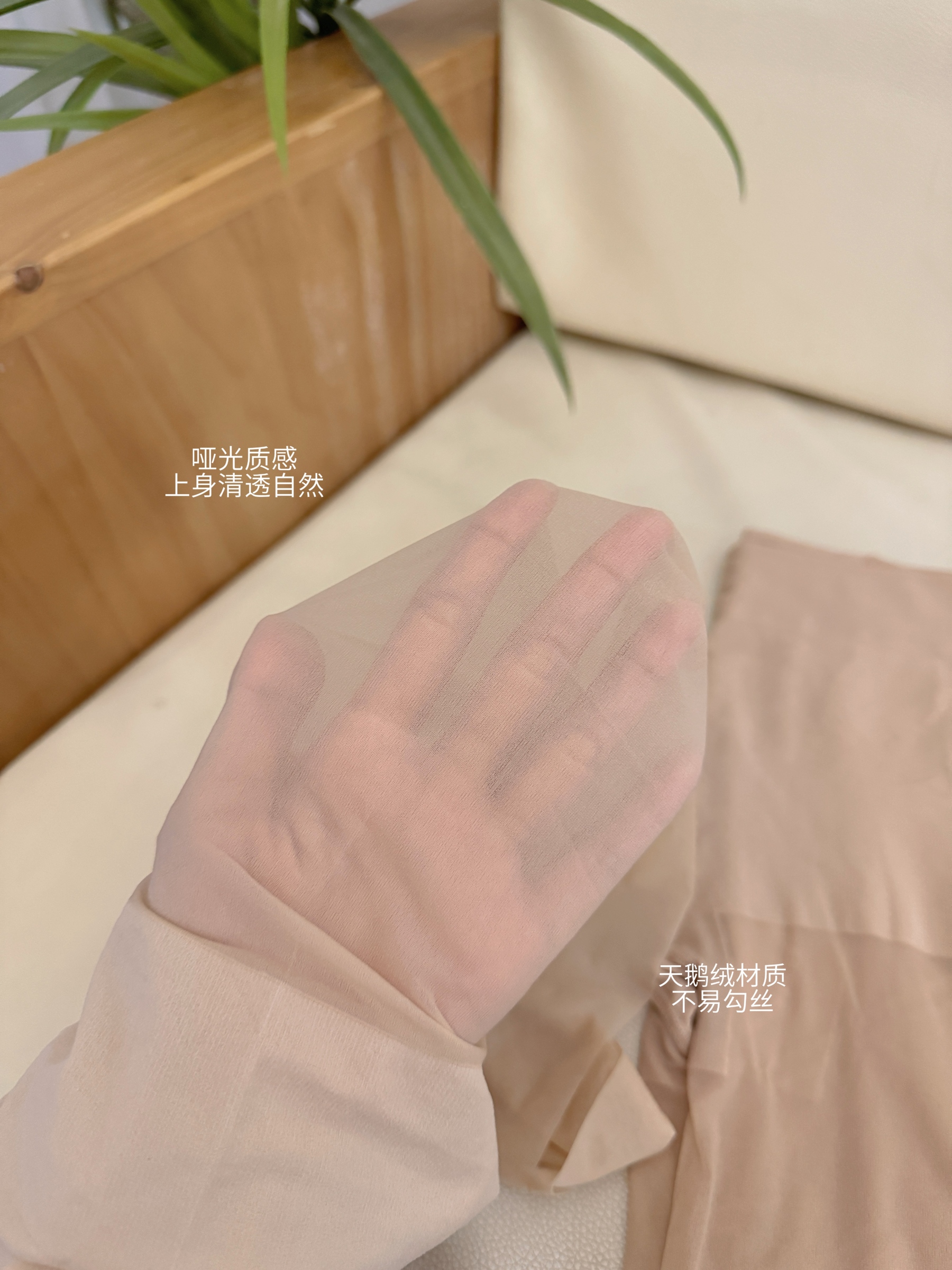 image_D39EE030-001B-4F5A-8083-3731BF6DF027_1741610279