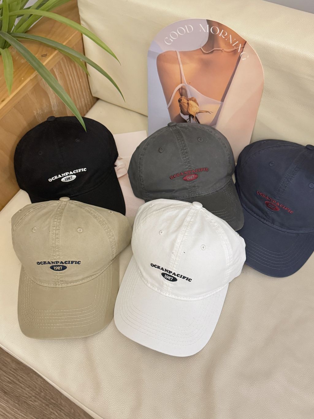 image_4B42701E-BB43-4548-B9AC-18AE36FFAF0C_1741768404