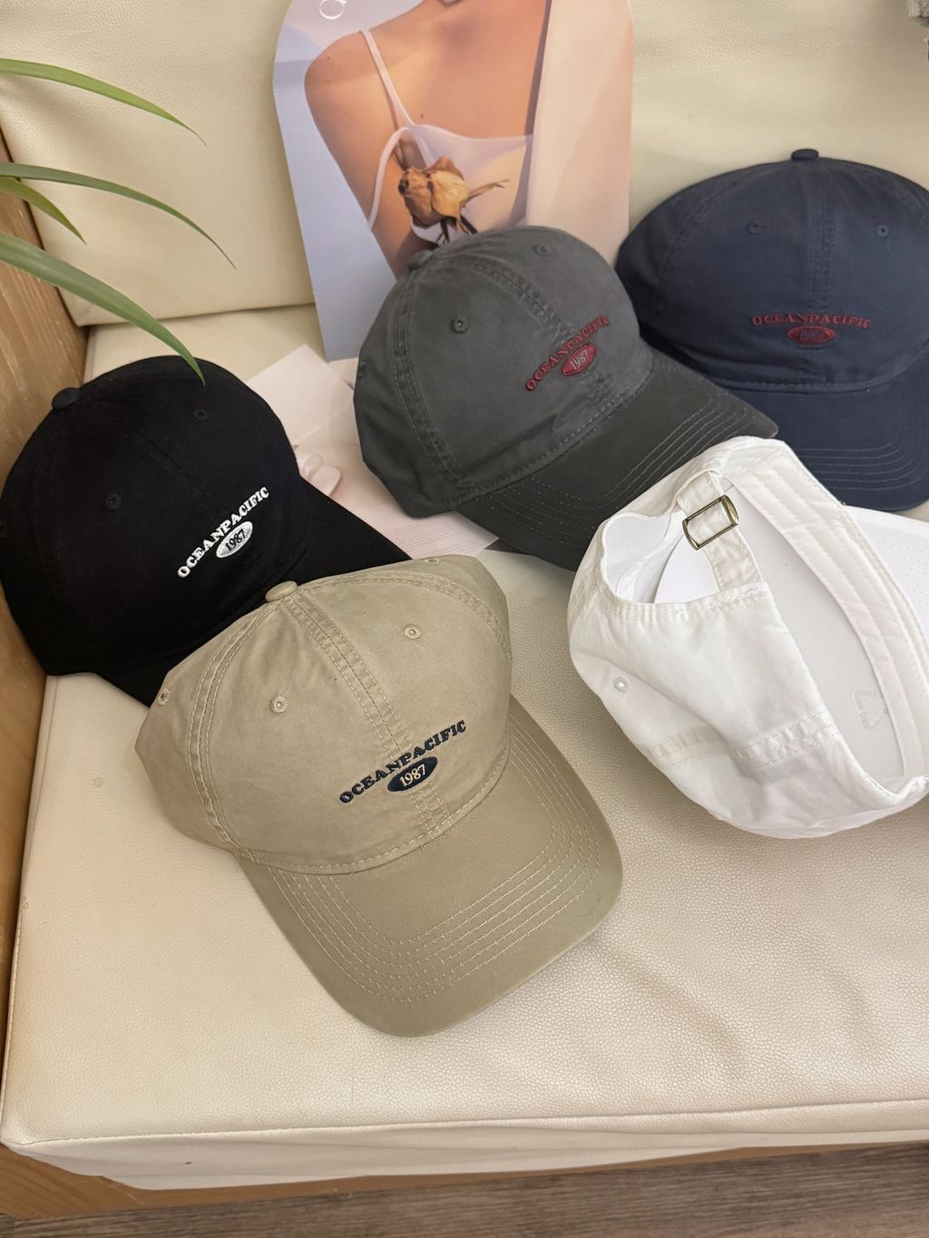 image_E85D927C-8F54-465A-AC91-6AA1FB1CA3ED_1741768404