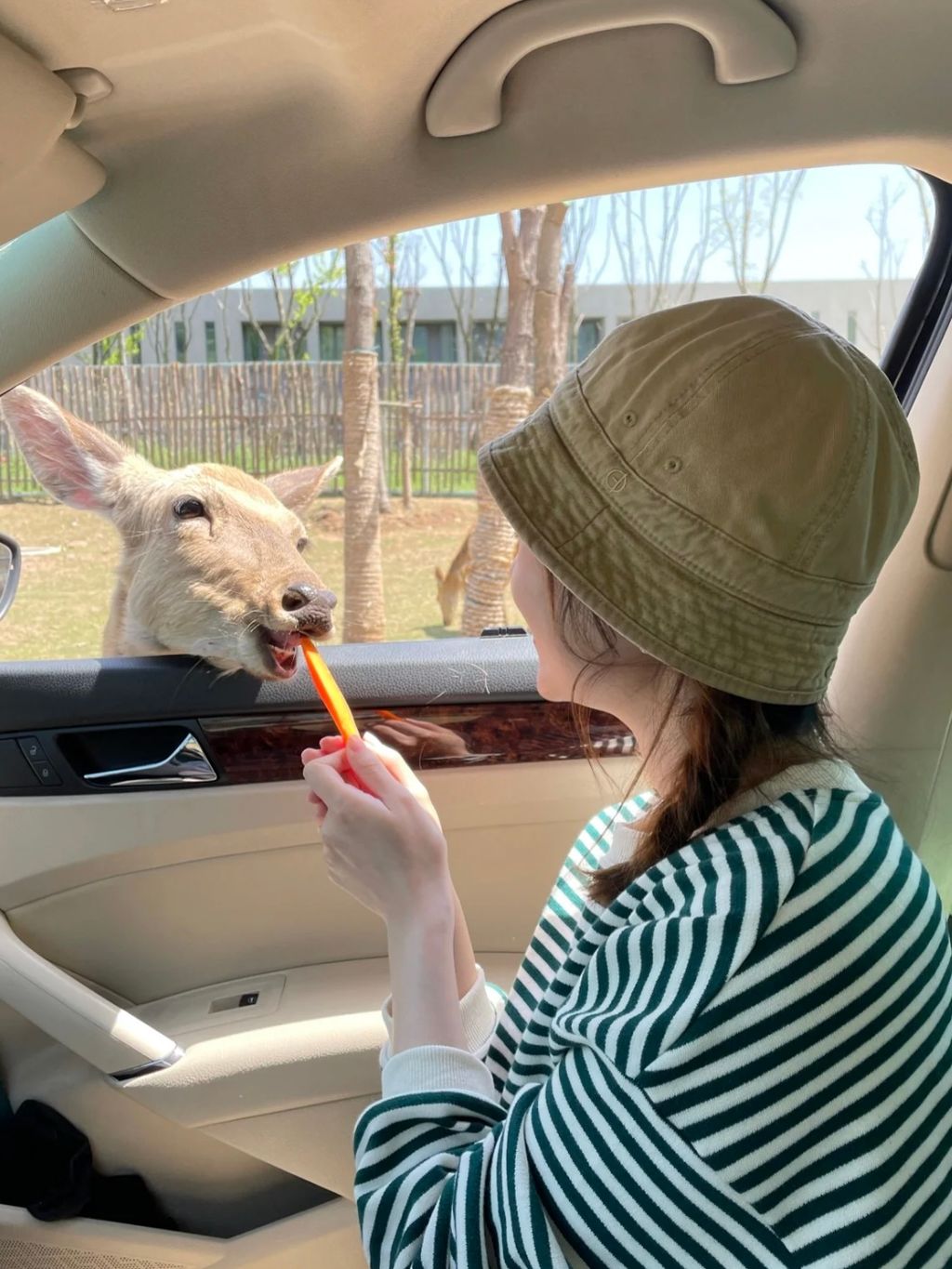 image_1A634CFA-1885-4A56-A29E-D4885F28CF42_1741768856