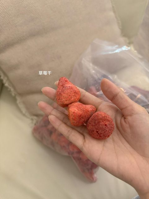 WhatsApp Image 2025-04-06 at 10.01.52 AM