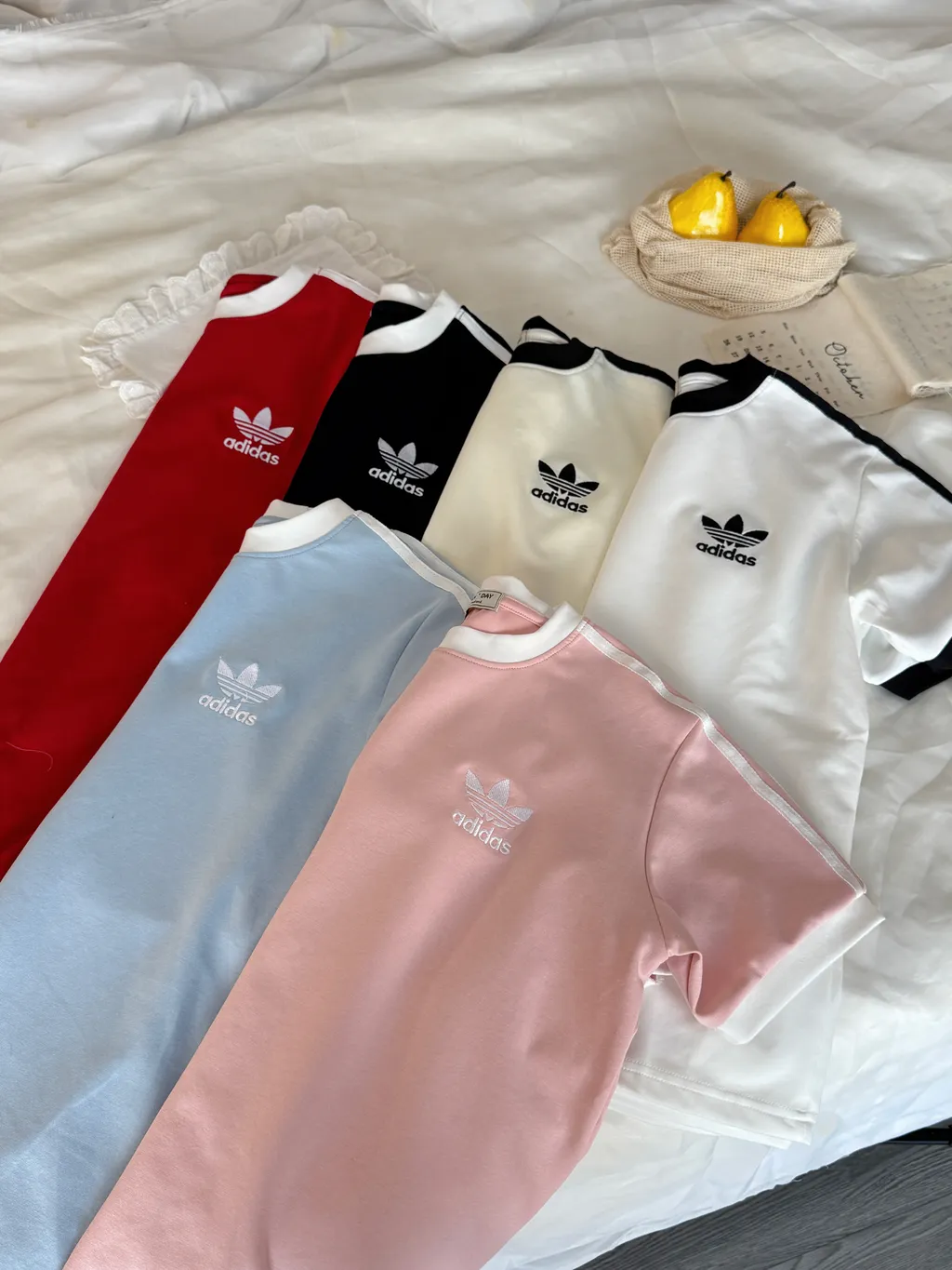 image_DD83A1ED-B8FE-405C-BF4C-54BC502F7C29_1761302439