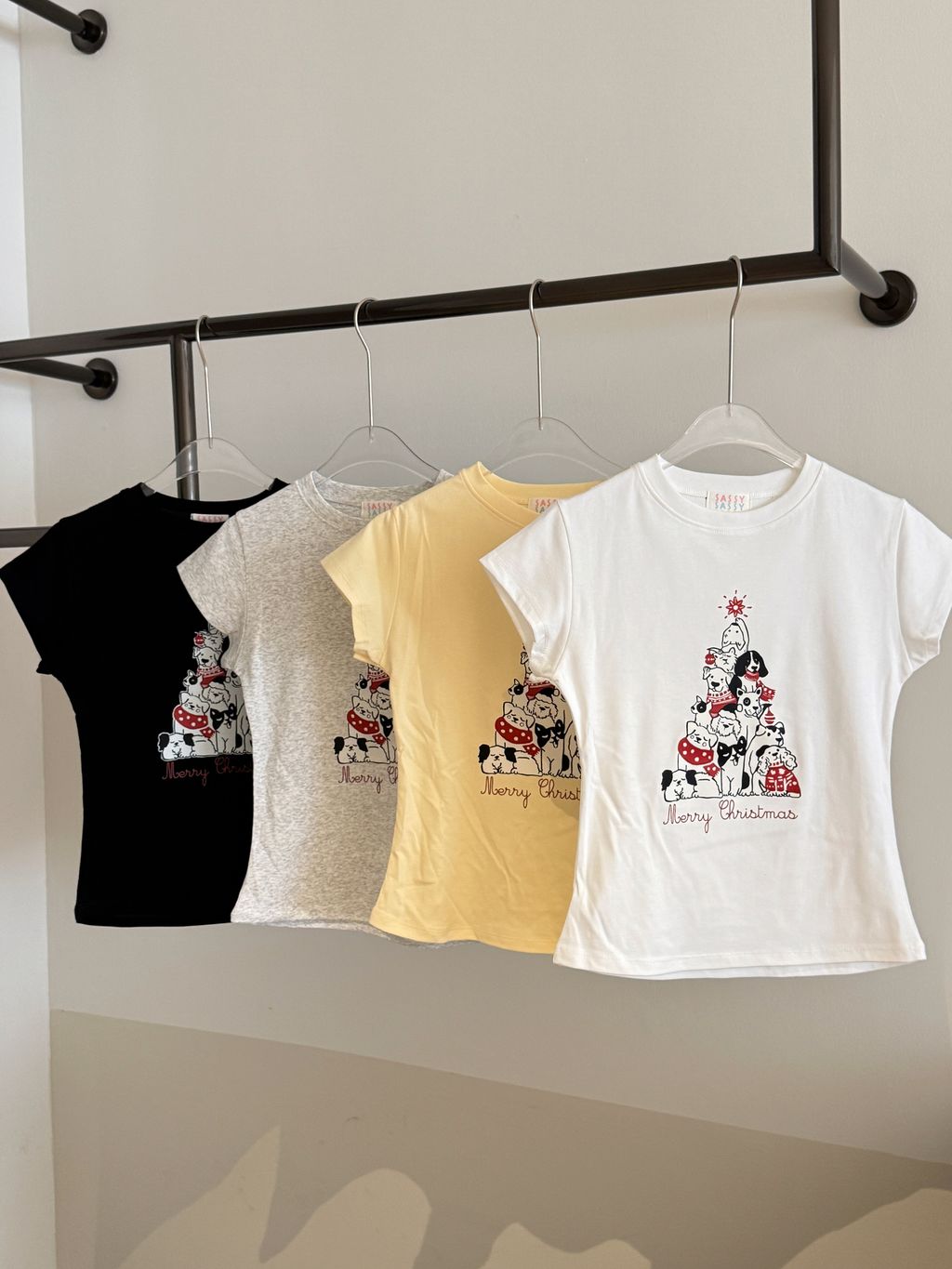 image_CC5378E1-5122-4BBB-8E19-C041554F6D1C_1765618419