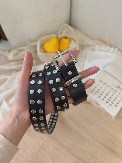 image_2BC075F4-29BB-4C1A-ACD7-2B55B8560FDD_1768055716