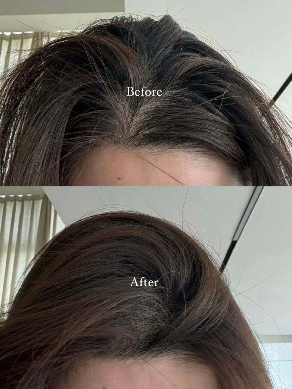 image_6CE4FDC3-4628-49FD-9EBD-5F6F608B61CC_1768268257